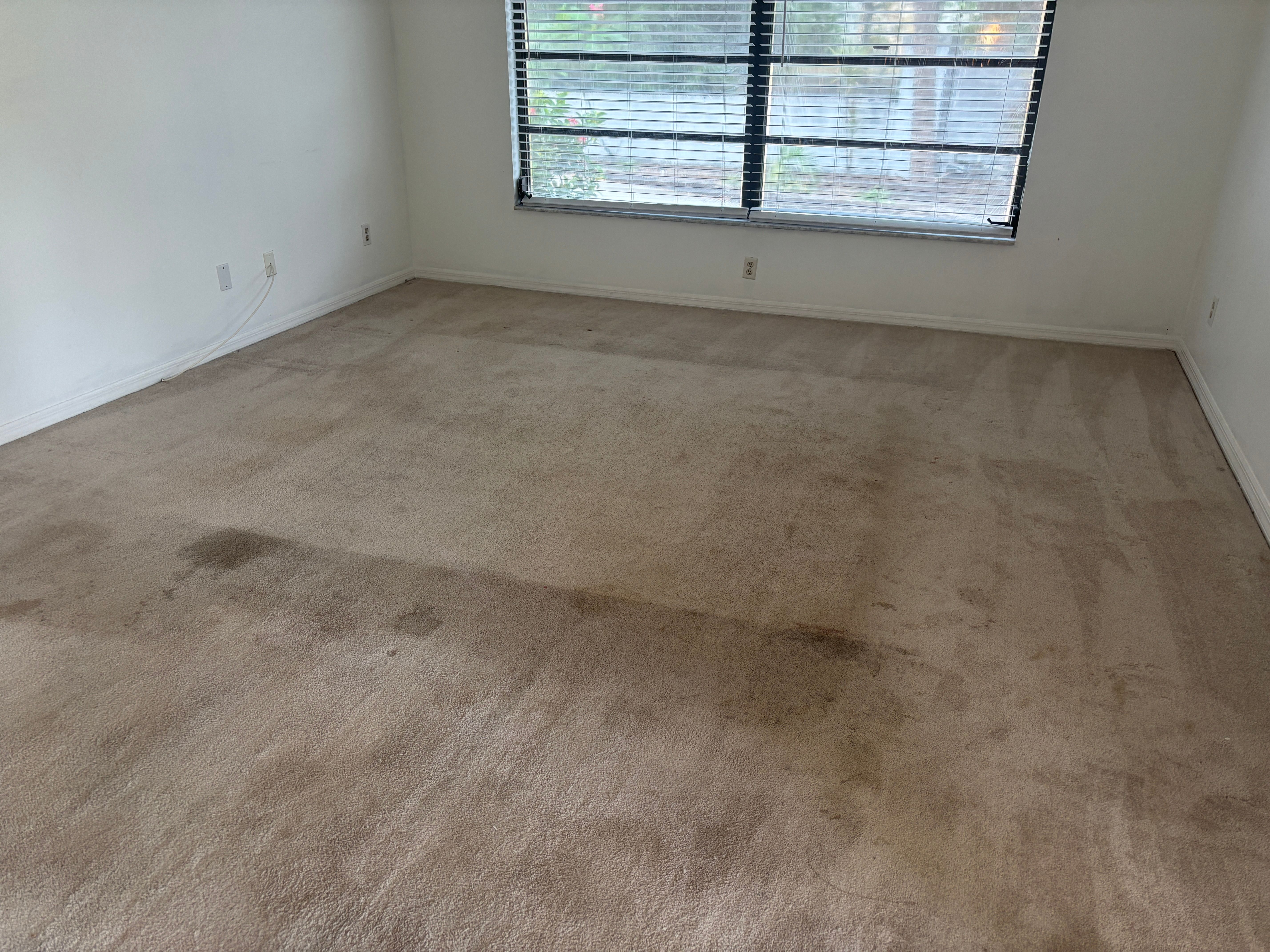 Carpet before cleaning